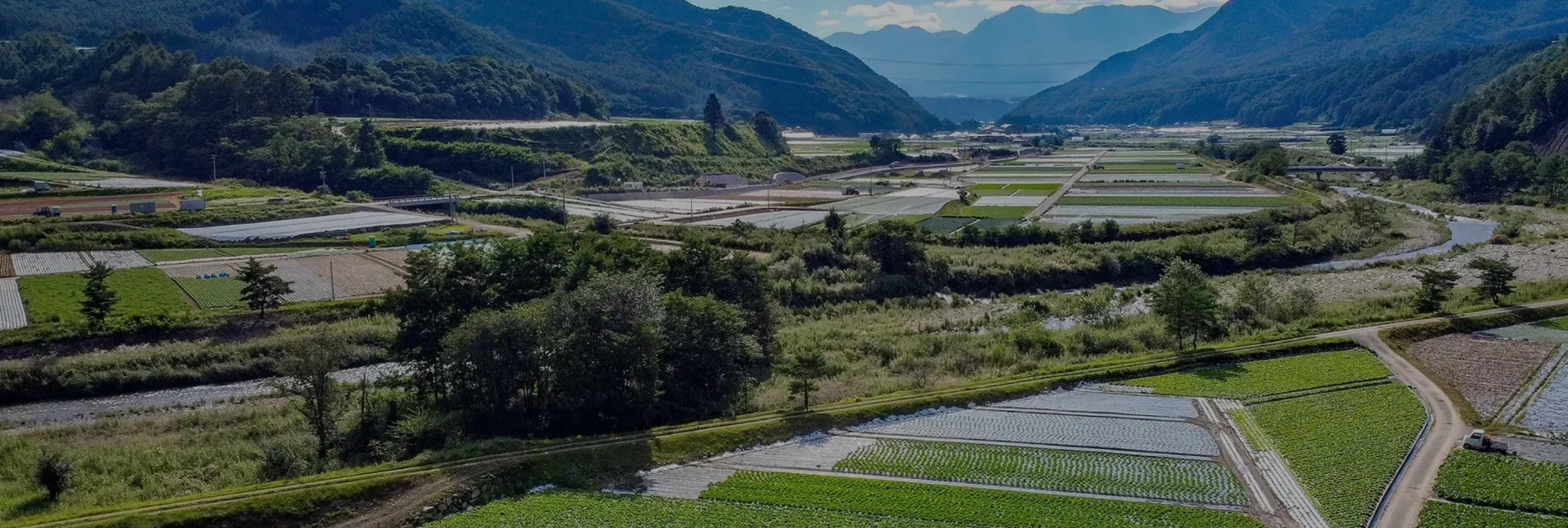 川上村の風景
