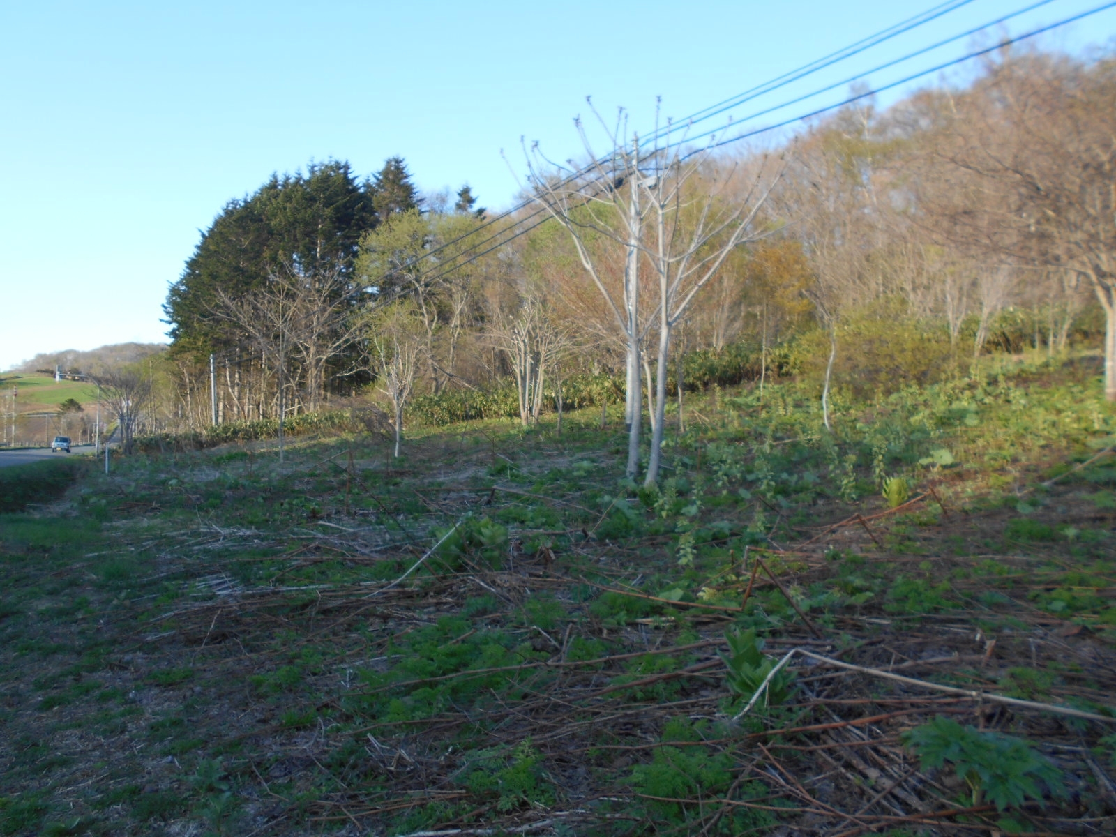 自然に囲まれた静かな環境