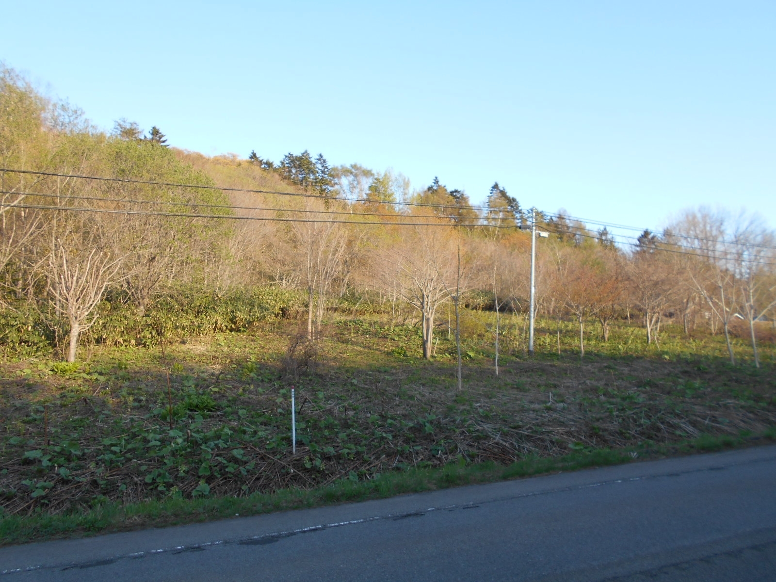 広がる自然の中の一角