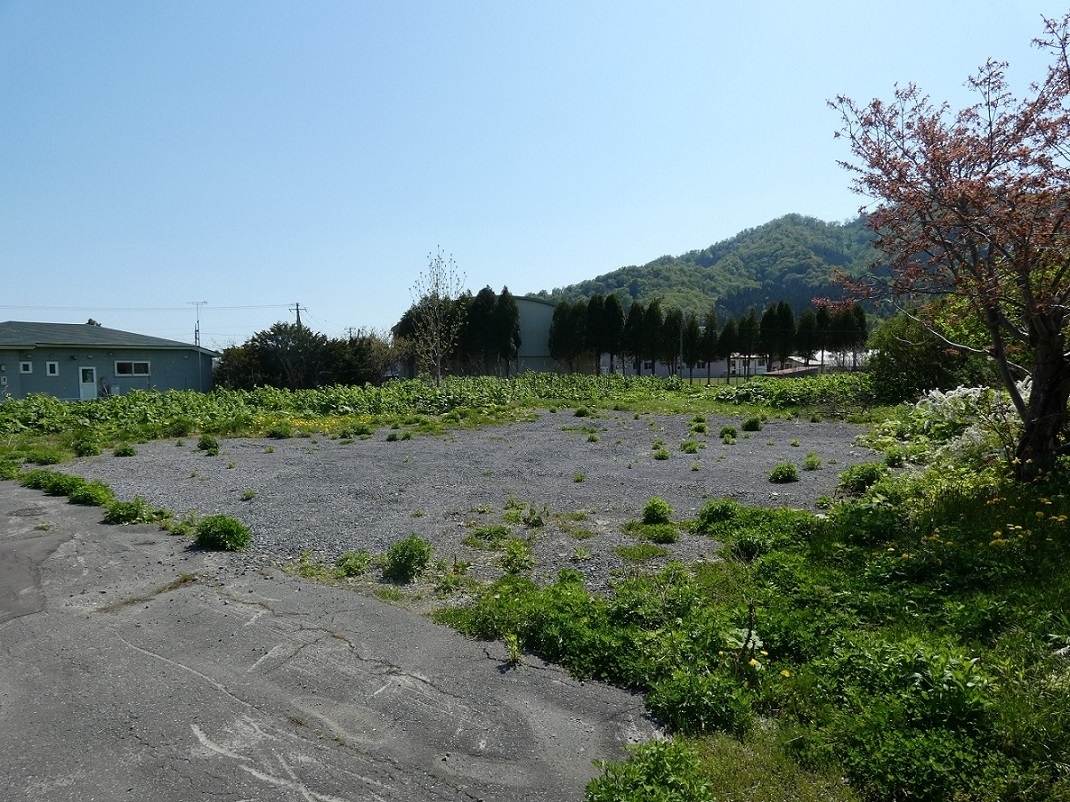 自然豊かな広大な敷地