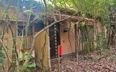 自然と調和した平屋住宅