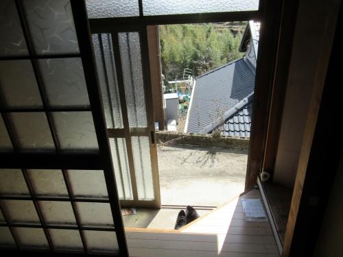 趣のある玄関からの眺め