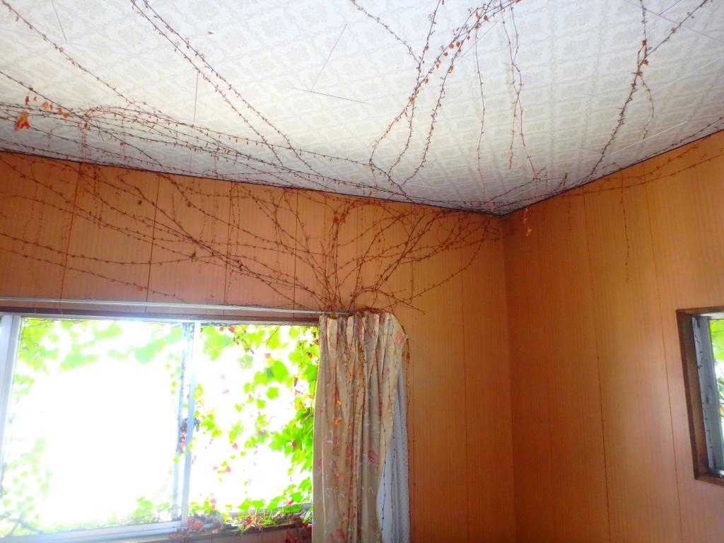 自然と調和する部屋