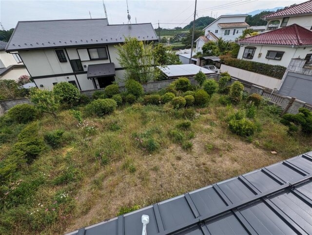 緑豊かな庭