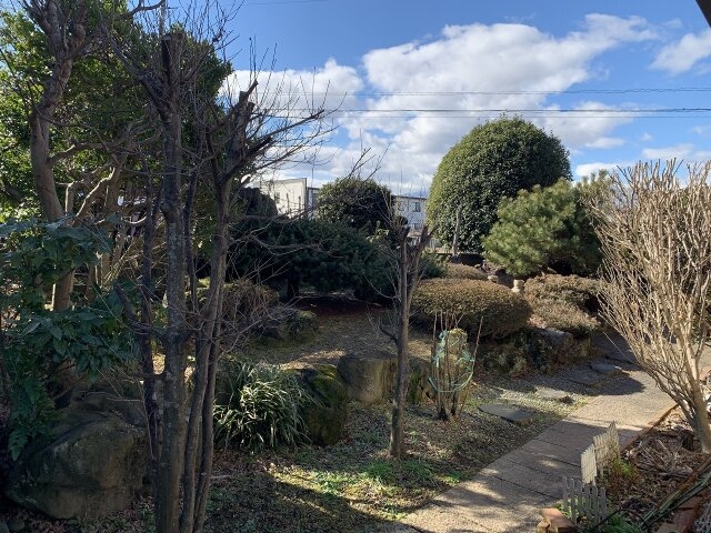 和の庭園