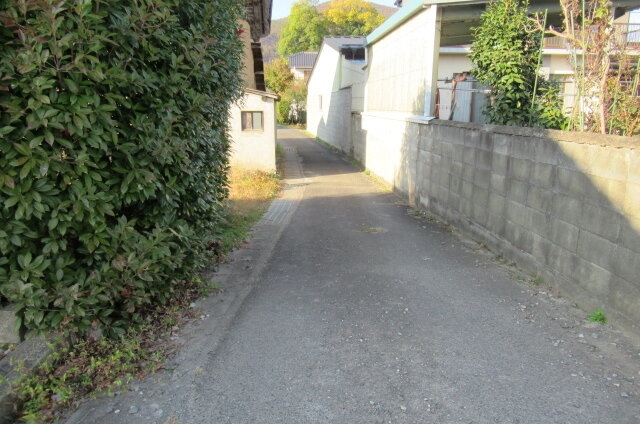 緑に囲まれた穏やかな周辺環境