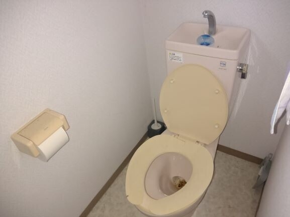 清潔感のあるトイレスペース