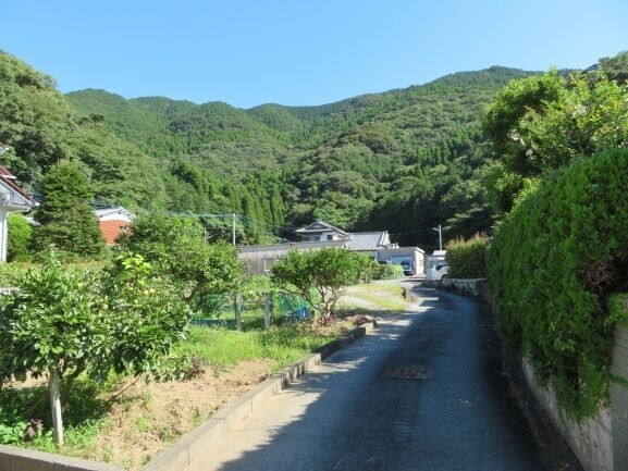 約1,500㎡の広々とした農地