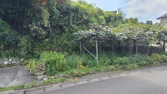 自然豊かな環境に広がる敷地