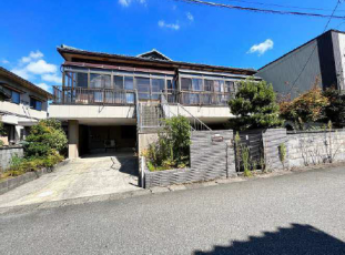 坂井市_1