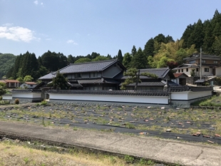豊岡市_1
