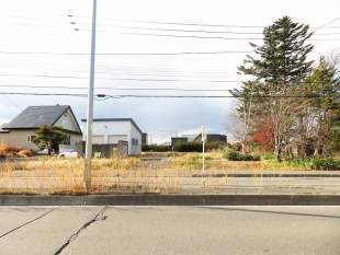 【約892坪】建築条件なしの広大な土地_1