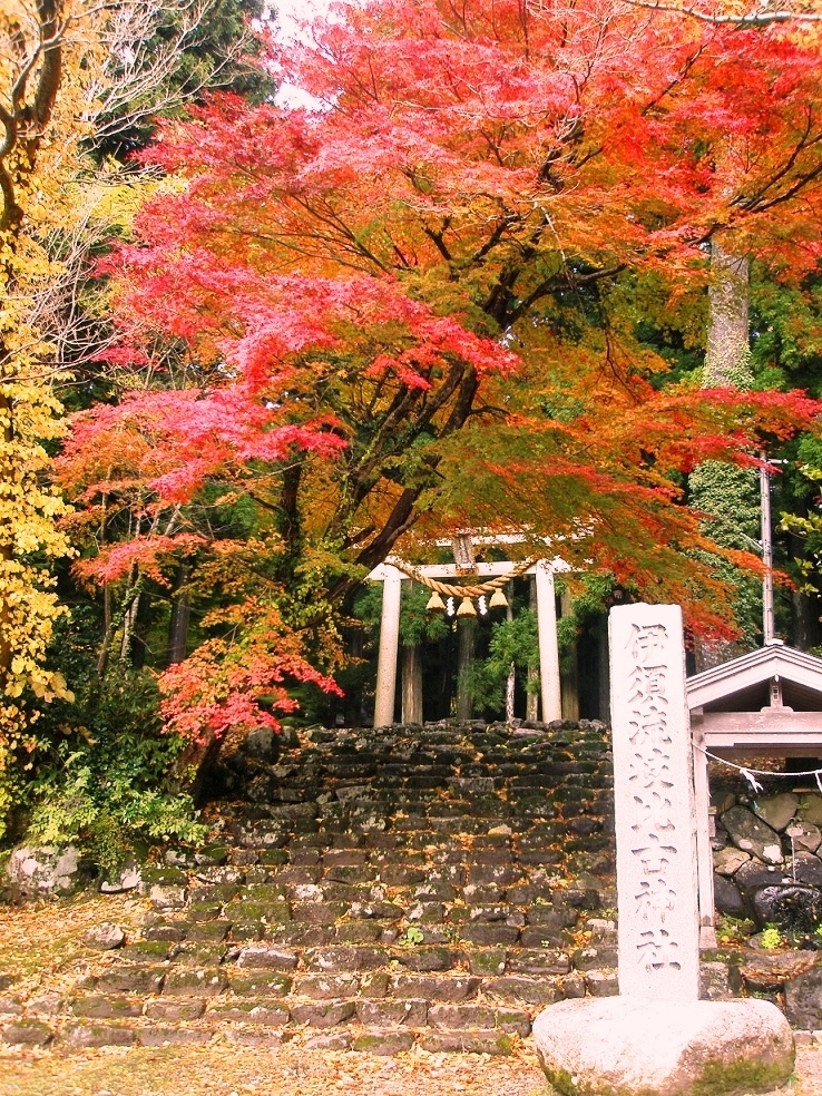 秋色に染まる伊須流岐神社