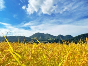 木島平村_2