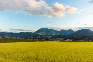 木島平村_3