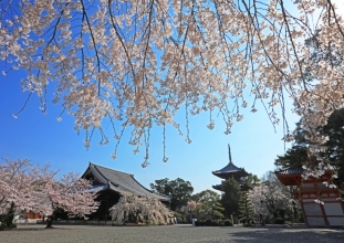 日高川町_2