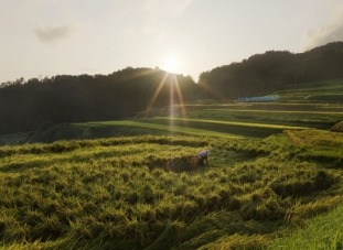 高浜町_2