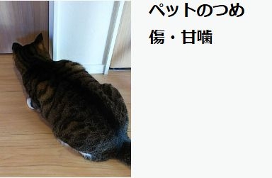 修理工房テクノメイン画像4